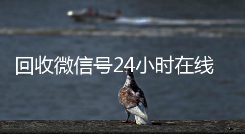 回收微信号24小时在收购微信号秒结账线秒结（回收微信号24小时交易平台）